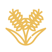 The Leading Supplier of Cocoa Product Spicescoco